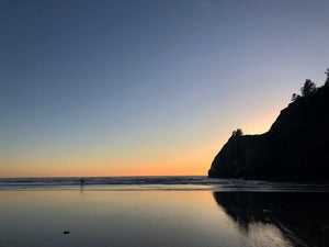 The Power of Mindfulness in Everyday Life