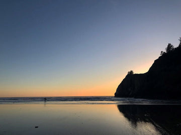 The Power of Mindfulness in Everyday Life