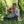 S-Shaped Pro Didgeridoo, Tuning C, Natural